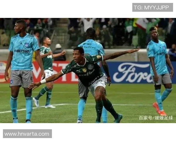 2017年科里蒂巴对阵桑托斯精彩回顾与赛季分析 2017年科里蒂巴对阵桑托斯精彩回顾与赛季分析